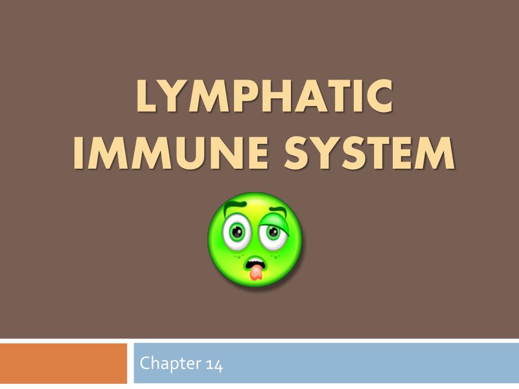 PPT - Lymphatic Immune System PowerPoint Presentation, free download ...