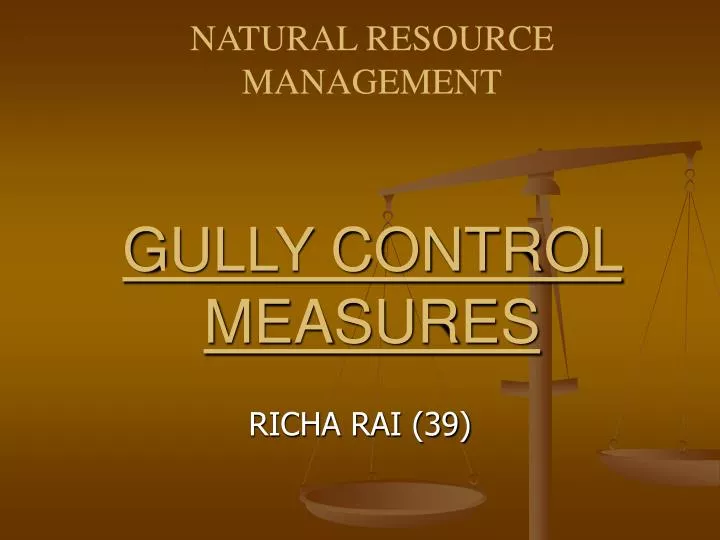 gully control measures