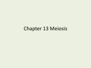 Chapter 13 Meiosis