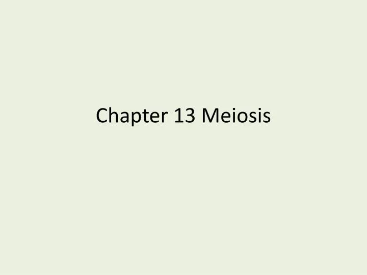 chapter 13 meiosis