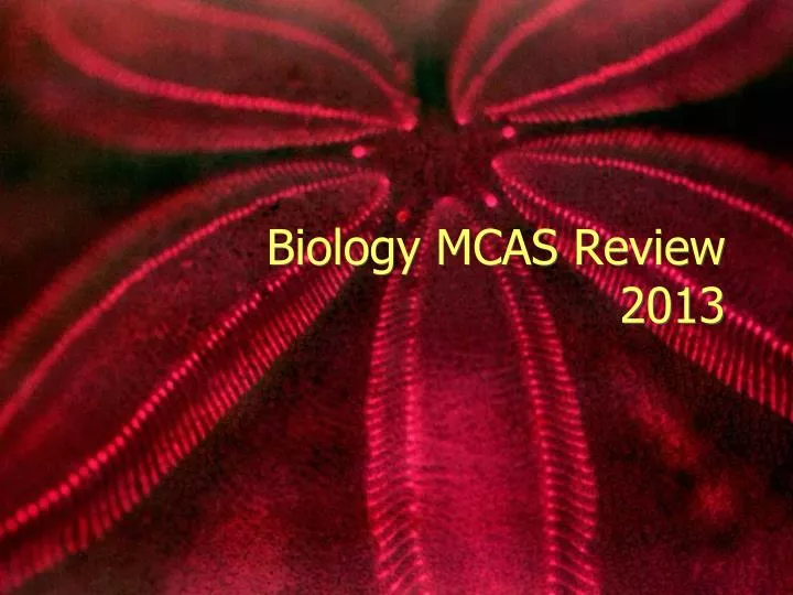 biology mcas review 2013