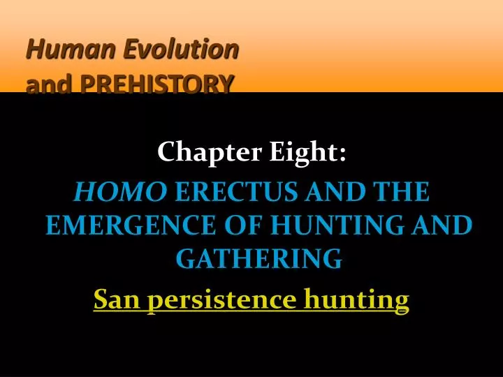 human evolution and prehistory
