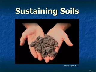 Sustaining Soils