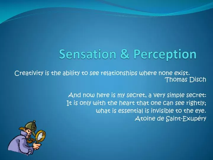 sensation perception