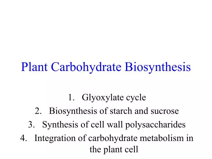 plant carbohydrate biosynthesis