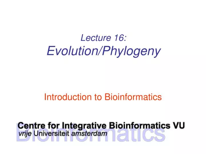 lecture 16 evolution phylogeny