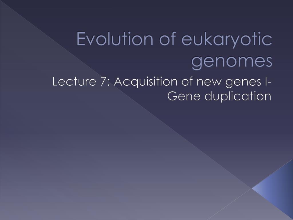PPT - Evolution of eukaryotic genomes PowerPoint Presentation, free ...