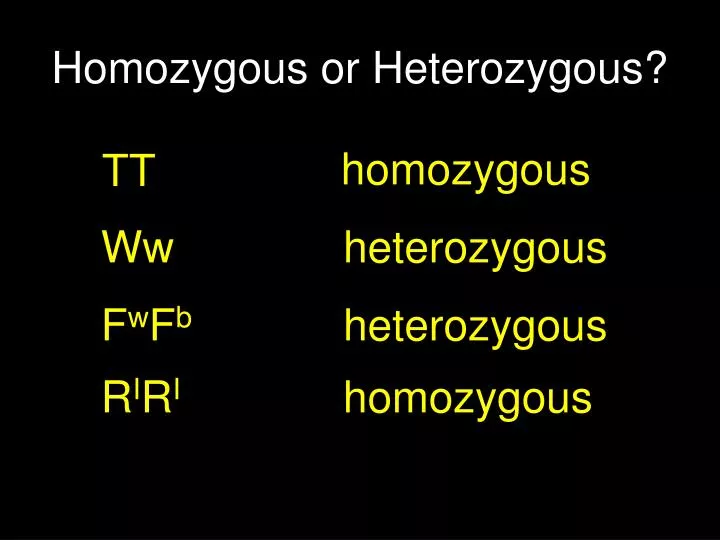 homozygous or heterozygous