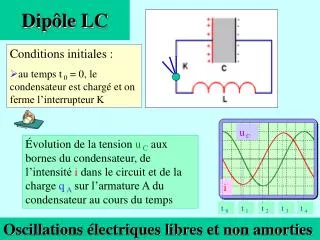 dip le lc