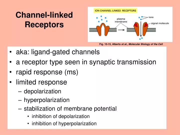 channel linked receptors