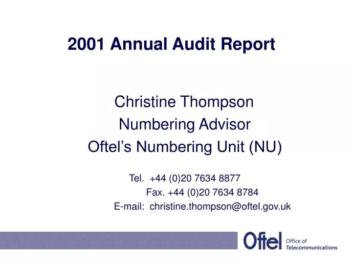 2001 annual audit report