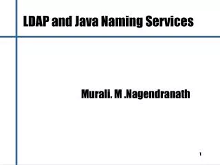 LDAP and Java Naming Services