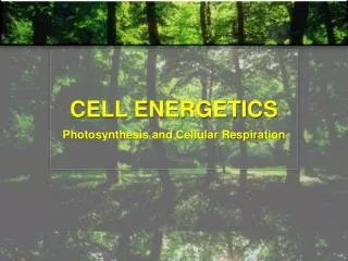 CELL ENERGETICS