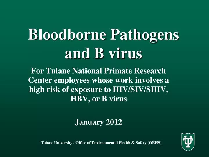 bloodborne pathogens and b virus