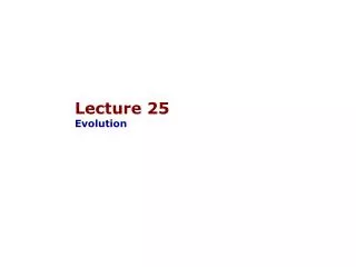 Lecture 25 Evolution