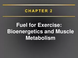 chapter 2