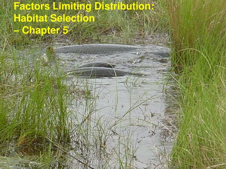 factors limiting distribution habitat selection chapter 5