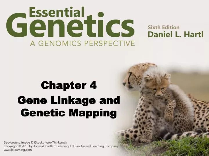 chapter 4 gene linkage and genetic mapping