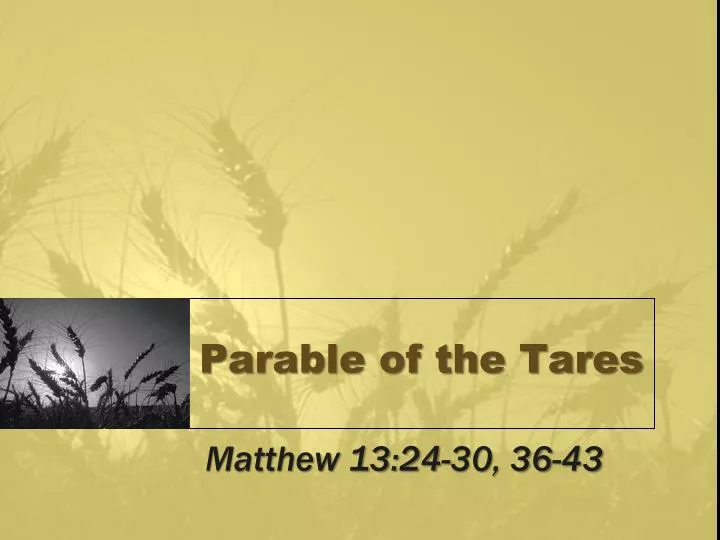 parable of the tares