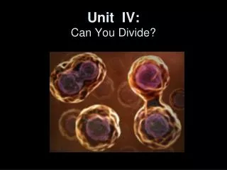 Unit IV: Can You Divide?