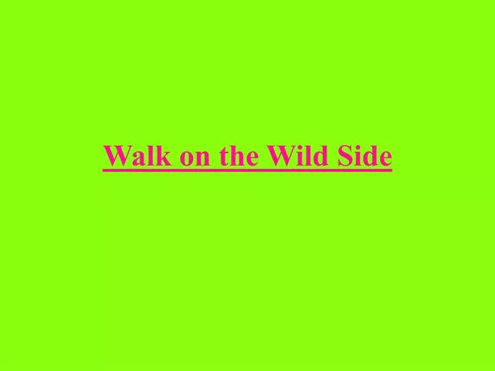 walk on the wild side