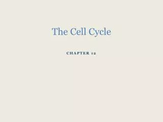 The Cell Cycle