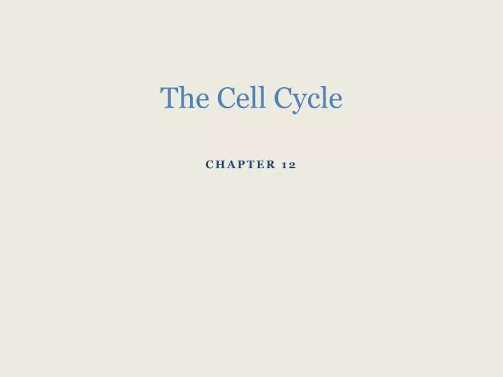 the cell cycle