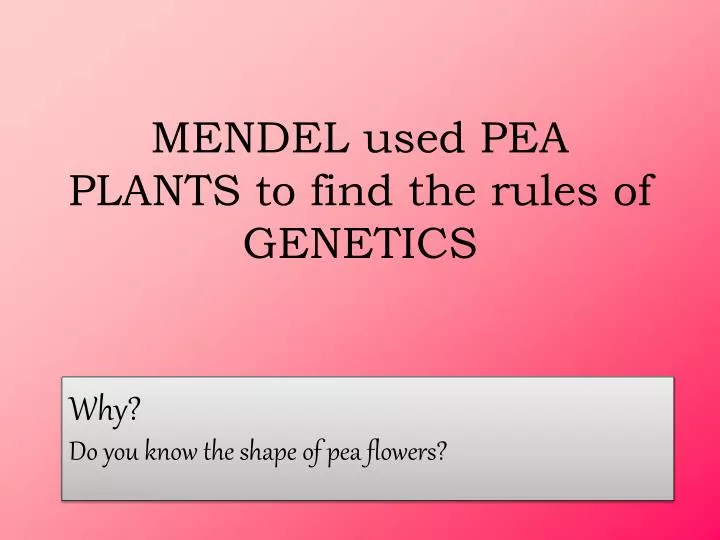 mendel used pea plants to find the rules of genetics