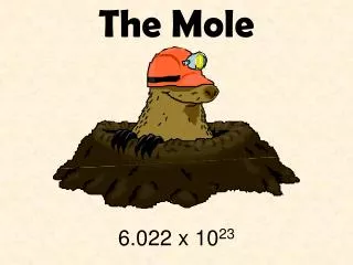 The Mole