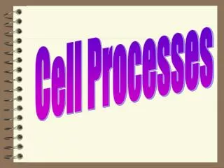 Cell Processes