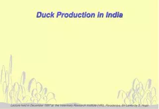 Duck Production in India