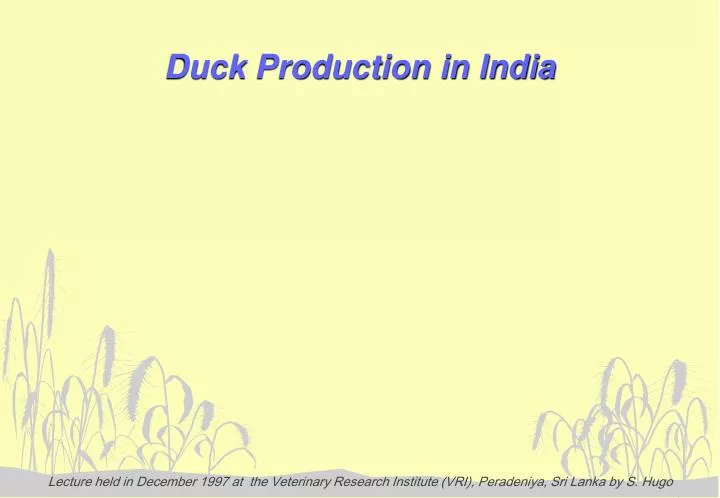 duck production in india