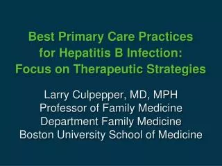 Best Primary Care Practices for Hepatitis B Infection: Focus on Therapeutic Strategies