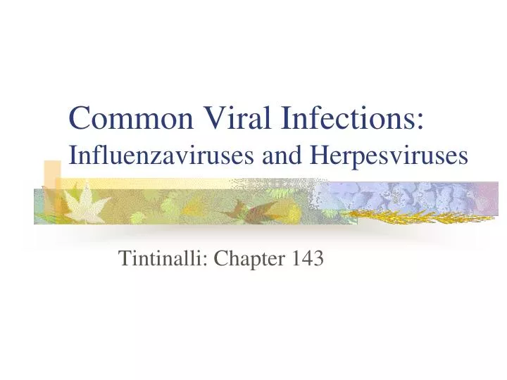 common viral infections influenzaviruses and herpesviruses