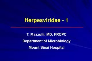 Herpesviridae - 1