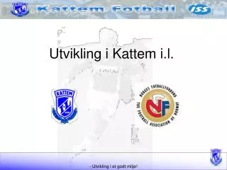 utvikling i kattem i l