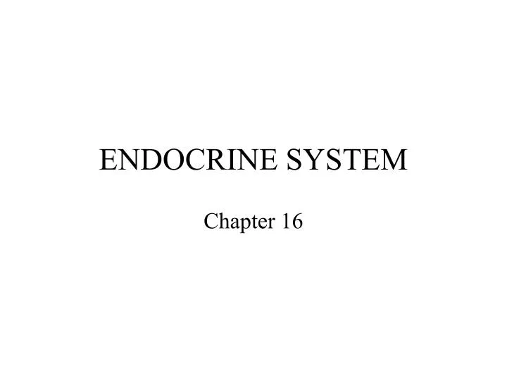 endocrine system