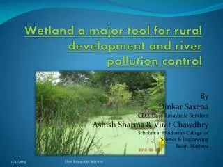 Wetland a major tool for rural development and river pollution control