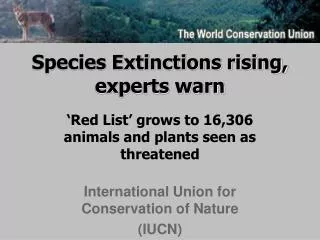Species Extinctions rising, experts warn