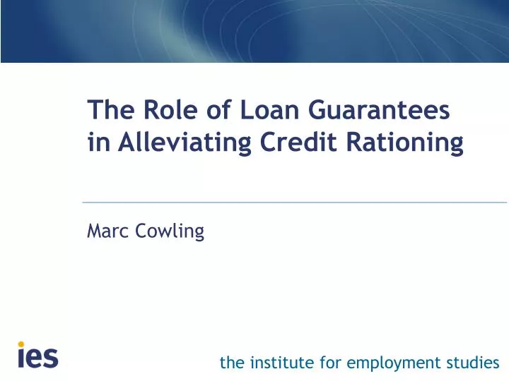 the role of loan guarantees in alleviating credit rationing