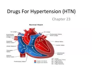 Drugs For Hypertension ( HTN )