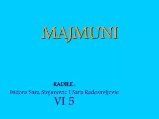 majmuni
