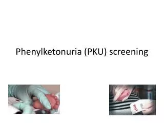 Phenylketonuria (PKU) screening