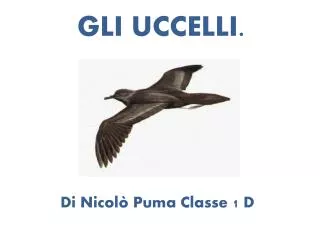 gli uccelli