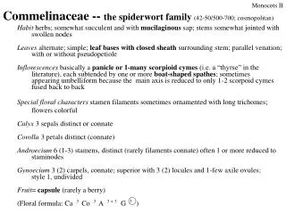 Commelinaceae -- the spiderwort family (42-50/500-700; cosmopolitan)