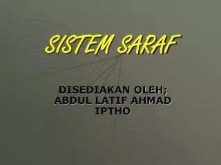 sistem saraf