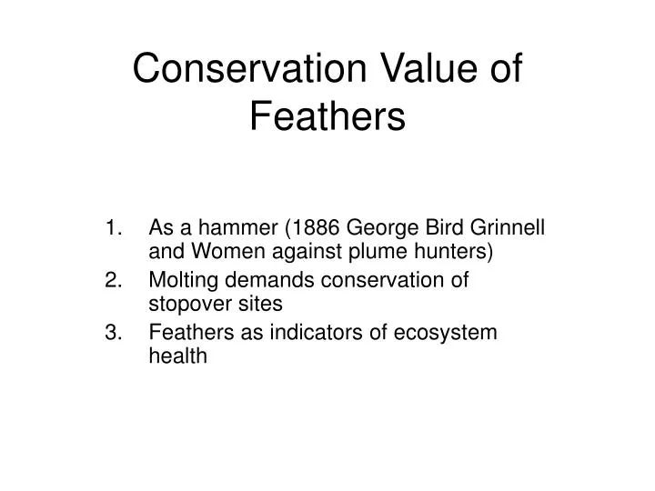 conservation value of feathers