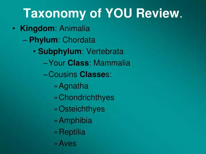 taxonomy of you review