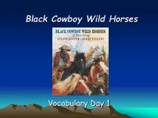Black Cowboy Wild Horses