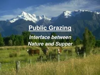 Public Grazing